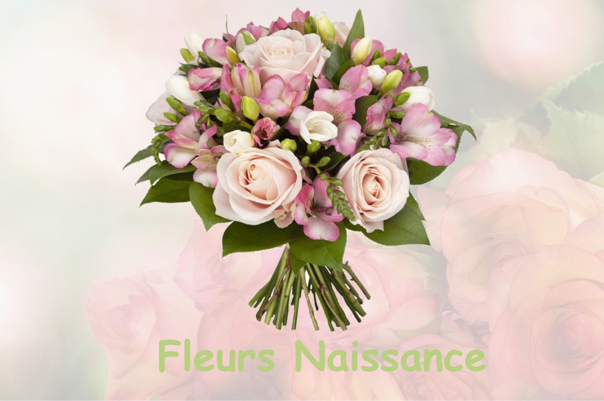 fleurs naissance VOISINS-LE-BRETONNEUX